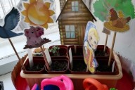 Реализация проекта "Огород на окне"